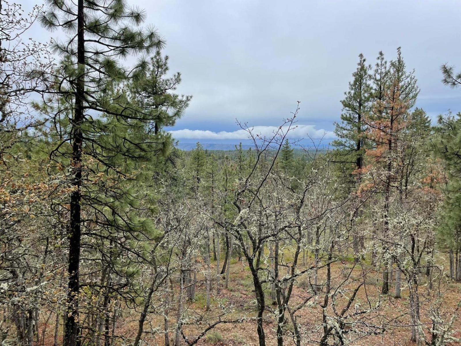 Готель Treehouse Ranch Goldendale Екстер'єр фото